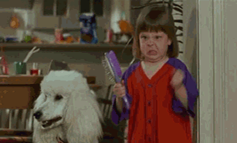 jezebel_angry-kid_dog_no-no-no