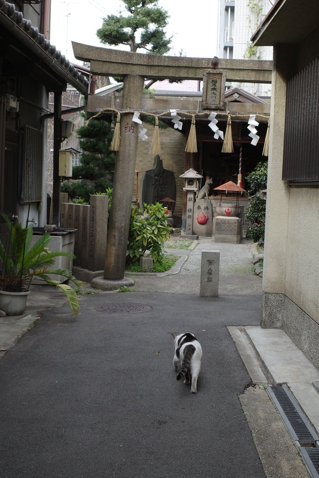 ���� ϩ�� ǭ ƻ���� ���� ��ǵ�������� ǭ�� ��̣�� ���ܤ˴�Ϣ��������-03