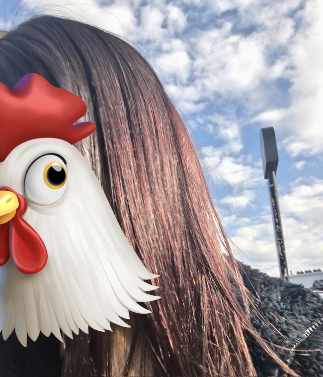 ���Ʊ������Ƽ�����������������󡡿���ȱ���˴�Ϣ��������-05