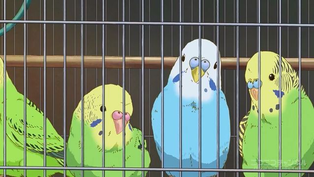 通信トラブル　Zoom　打ち合わせ　インコ　ウマ娘に関連した画像-01