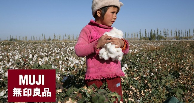 無印良品　良品計画　新疆ウイグル　綿花　中国　ジェノサイドに関連した画像-01