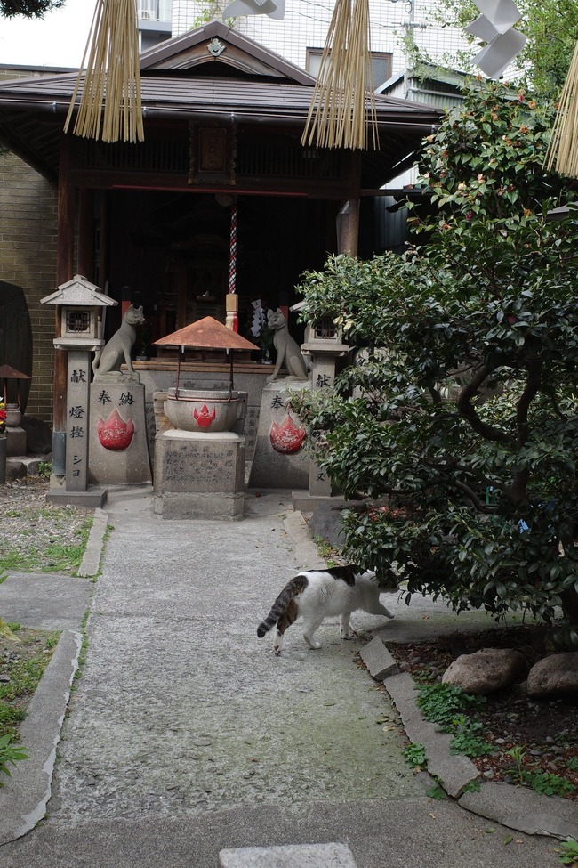 ���� ϩ�� ǭ ƻ���� ���� ��ǵ�������� ǭ�� ��̣�� ���ܤ˴�Ϣ��������-04