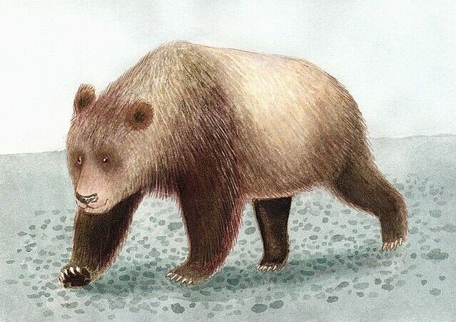 ��ʪ�ۡ����С��ѥ�������Ǥ˴�Ϣ��������-01