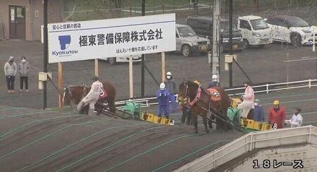 ばんえい競馬　虐待　戒告　北海道　胸糞に関連した画像-01