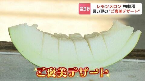 北海道　レモンメロン　富良野　果物　に関連した画像-01