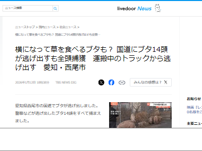 �֥���æ���������桡�ȥ�å�����ƻ�������쥤�󥿡��նᡡ���θ������Ԥ˴�Ϣ��������-03