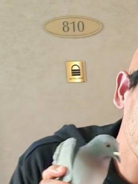 小倉 ホテル 研修 チェックイン 部屋 鳩に関連した画像-03