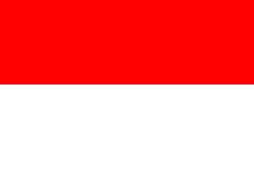 インドネシア　首都　移転に関連した画像-01