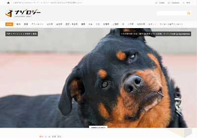 ��������ǽ���ܡ����������꡼���ϥ󥬥꡼���˴�Ϣ��������-02