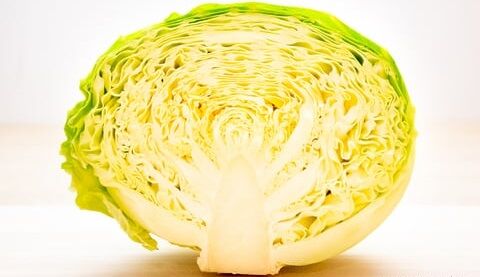 キャベツ　芯　栄養　調理　料理　に関連した画像-01