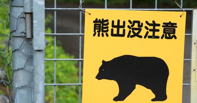 熊　駆除　猟友会　自治体　抗議　電話　愛護団体に関連した画像-01