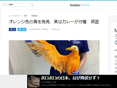 オレンジ色の鳥が発見 新種か まさかの衝撃的な展開にwwwww オレ的ゲーム速報 刃 オレンジ色の鳥が発見 新種か まさかの衝撃的な展開にwwwww オレ的ゲーム速報 刃