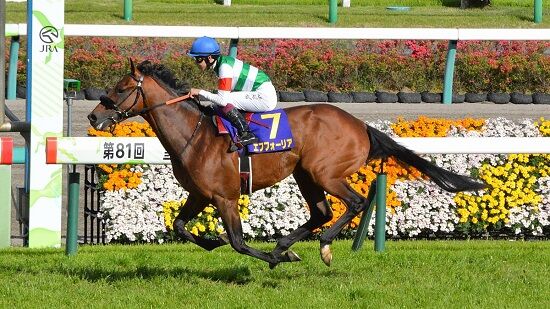 エフフォーリア 京都記念 心房細動 ダービー ドウデュース 競馬 横山武史に関連した画像-01