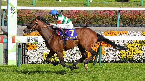 エフフォーリア　京都記念　心房細動　ダービー　ドウデュース　競馬　横山武史に関連した画像-01