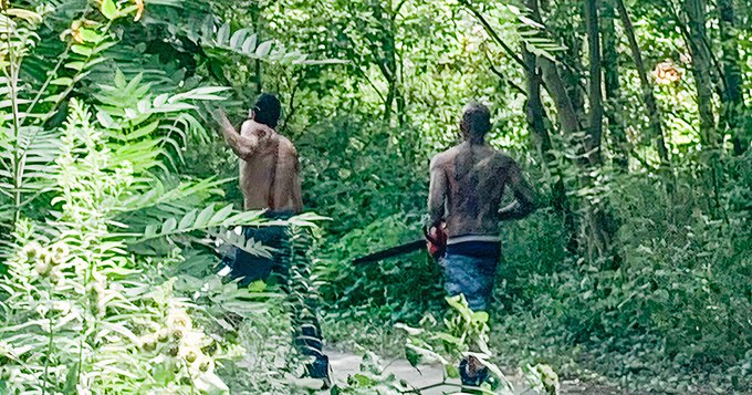 カナダ 反マスク団体 パーティー チェーンソー 襲撃に関連した画像-02