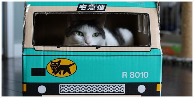 ヤマト運輸 宅急便 ブラック Amazonに関連した画像-01