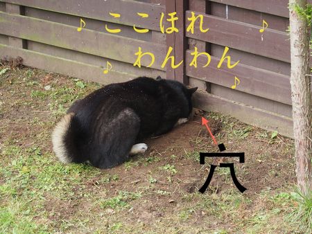 園児 脱走に関連した画像-01