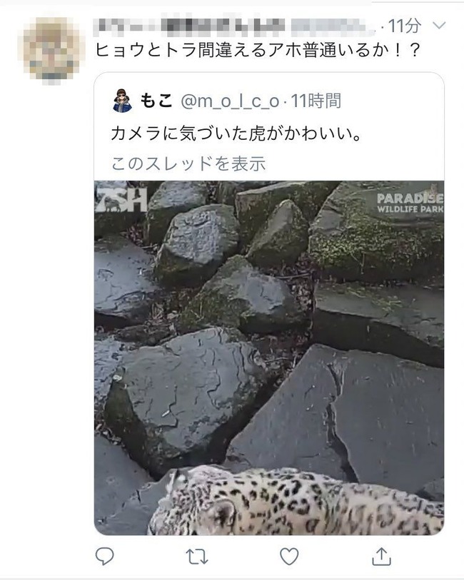 �ȥ顡�ҥ祦�������ְ㤤���ܥ�������á�����˴�Ϣ��������-04