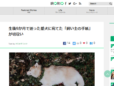 ��������桡��ư���㤱��˴�Ϣ��������-02