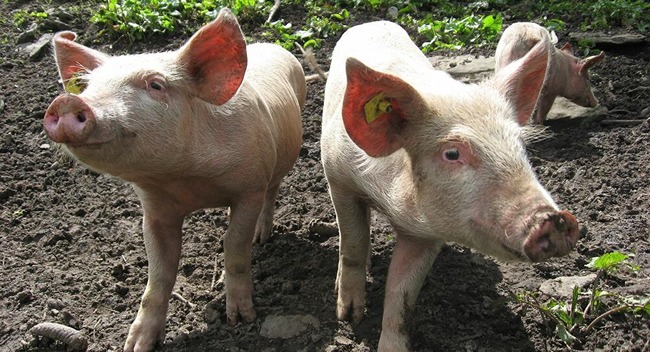 ���ϸ������ڸ����ڡ�670Ƭ������˴�Ϣ��������-01