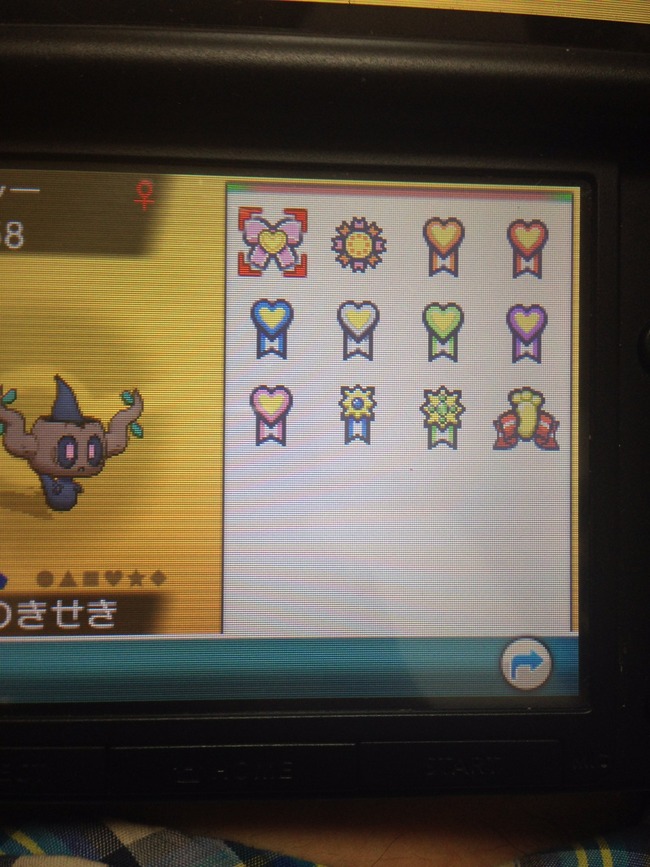 ポケモン 3DS ソフト 6年前 紛失 6年後 発見 庭 感動 任天堂に関連した画像-03