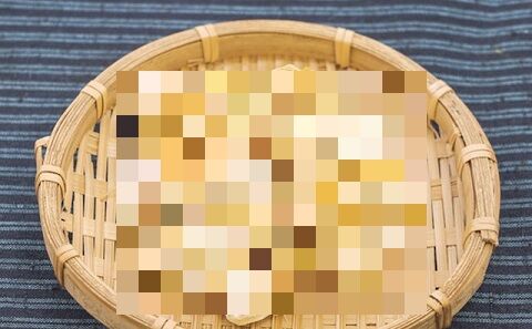 キノコ ヤマブシダケ 記憶力 海馬 認知症 に関連した画像-01