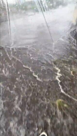 ����� �ȥ�å� �ɥ饤�С� �夿�ޤ� ��®�ʤ� ���ץ�å���ޥ���ƥ�˴�Ϣ��������-07