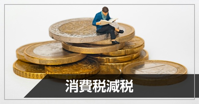 日本政府 消費税減税 レジシステム 改修 1119億円 予備費に関連した画像-01