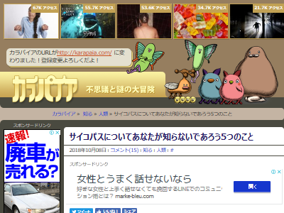 �������ѥ����������Բ񡡰����˴�Ϣ��������-02
