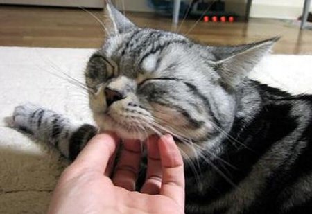 �ͥ����������������˴�Ϣ��������-01