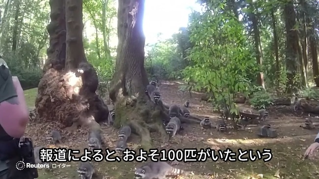 ����ꥫ ���� ���� ���饤���� 35ǯ ���դ� ���� ���� �ٻ� ����˴�Ϣ��������-06