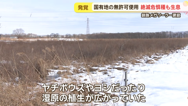 ��ϩ�������ᥬ�����顼�����ܥ������������Ķ��˲������Ǵ����������Ƴ����ͭ�ϡ��ͥåȤ�ȿ�����̳�ƻ�����۸�ȯ�Ť˴�Ϣ��������-05