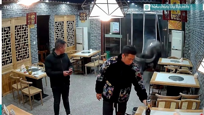 中国 食肉処理場 水牛 レストラン 襲撃 男性 体当たり ジョーカーに関連した画像-01