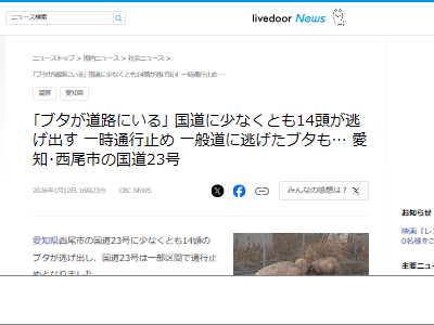 �֥���æ���������桡�ȥ�å�����ƻ�������쥤�󥿡��նᡡ���θ������Ԥ˴�Ϣ��������-02