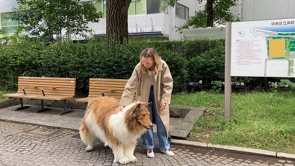 コリー　ケモナー　性癖　獣に関連した画像-01