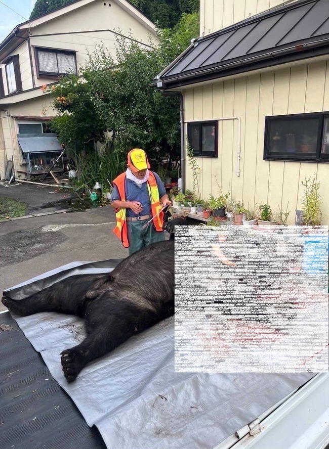 �������ޡ��ĥ��Υ殺�ޡ��ҥ��ޡ�������ϥ󥿡����������˴�Ϣ��������-03