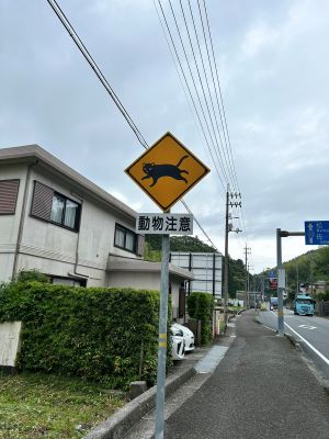 ネコ 標識 かわいい 交通事故 猫に関連した画像-02