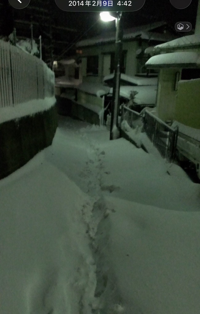 ������ɼ��������ŷ�������Է���������㡡���̡��㳲�˴�Ϣ��������-03