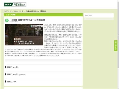 決闘罪 ソフトボール大会 金属バットに関連した画像-02