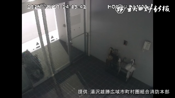 秋田県 庁舎 自動ドア 熊 クマ 侵入 動画 映像に関連した画像-03