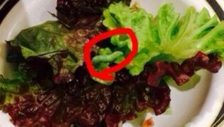 ステーキけん オレ的ゲーム速報 刃