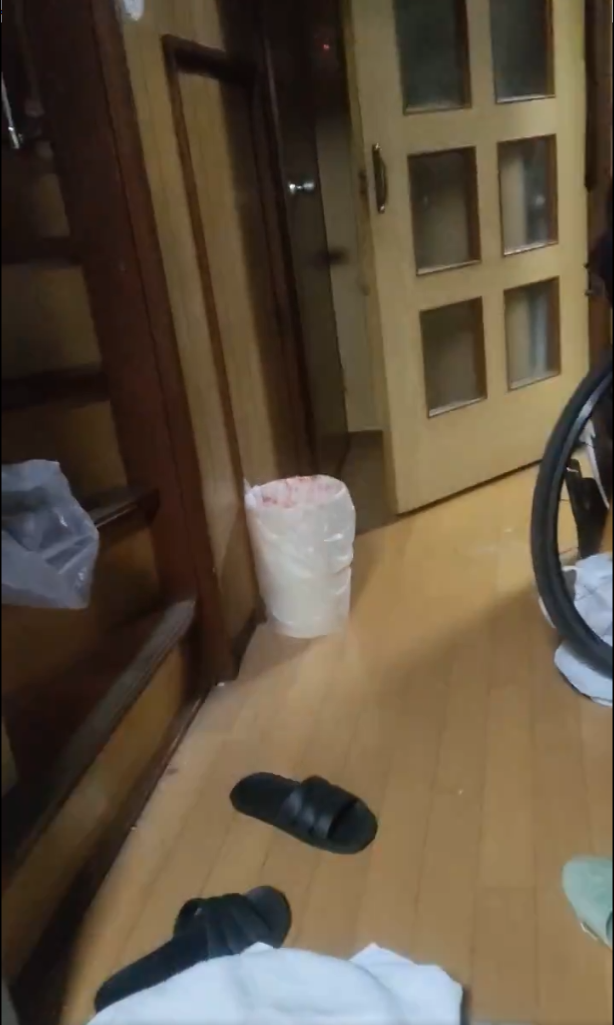 不法侵入 猫 猫アレルギー アレルギー 恐怖に関連した画像-02