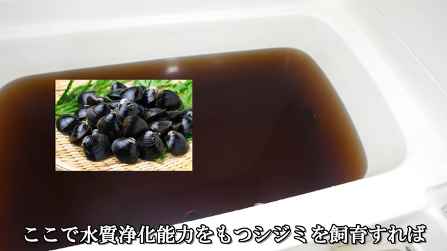 �����ᵪ�������ߡ�100ɤ���ޥ���������ޡ������������72���֡����ڡ��������ɥ֤˴�Ϣ��������-06