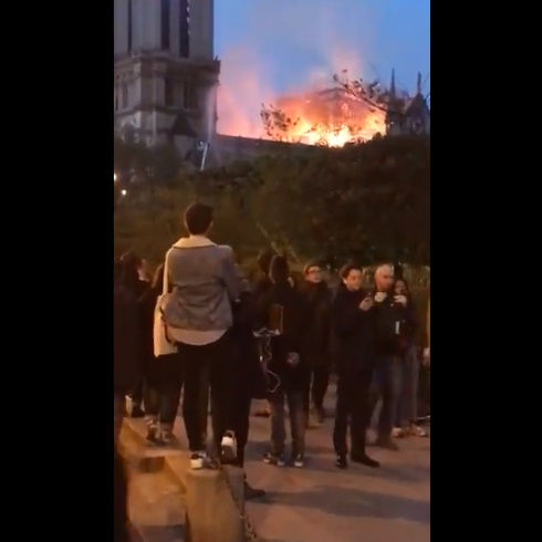 �Ρ��ȥ��������Ʋ �к� �ѥ� ���٥ޥꥢ �羧 �����˴�Ϣ��������-05