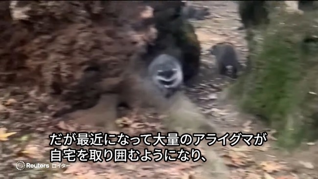 ����ꥫ ���� ���� ���饤���� 35ǯ ���դ� ���� ���� �ٻ� ����˴�Ϣ��������-04