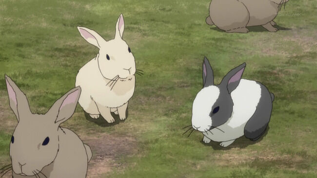 ウサギ小屋　オシャレ　東京　部屋　賃貸に関連した画像-01