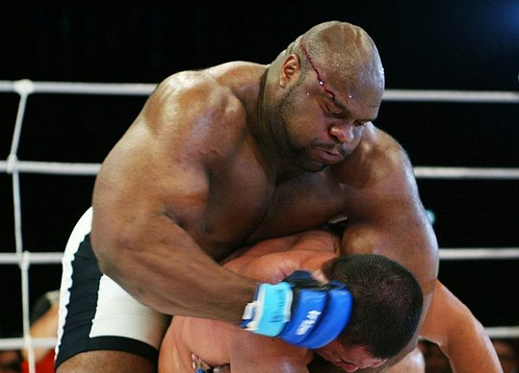 bobsapp