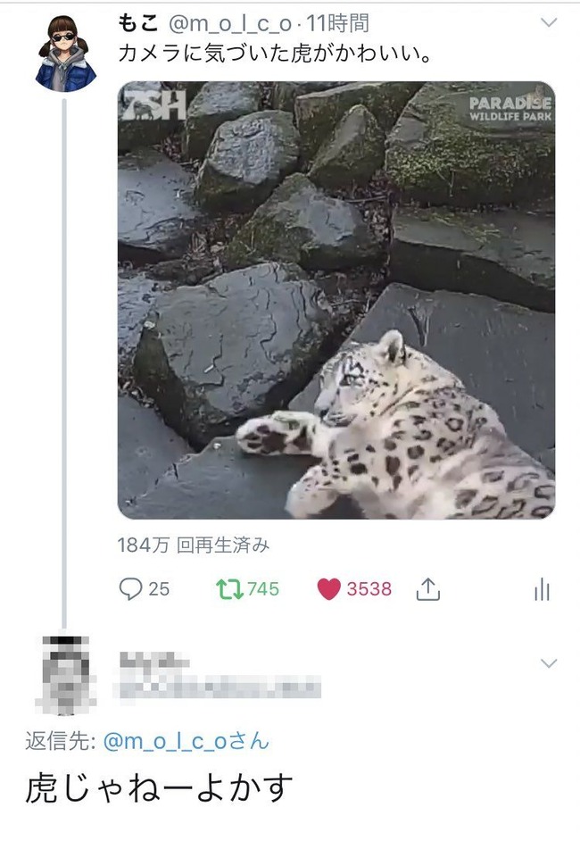 �ȥ顡�ҥ祦�������ְ㤤���ܥ�������á�����˴�Ϣ��������-02