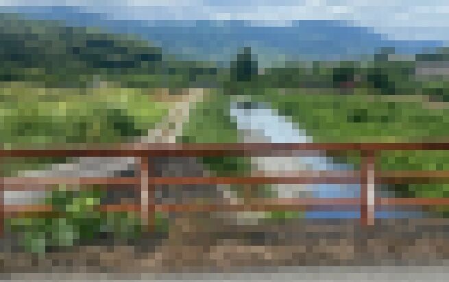 絵師　コミケ　東京ビッグサイト　迷子　酒に関連した画像-01