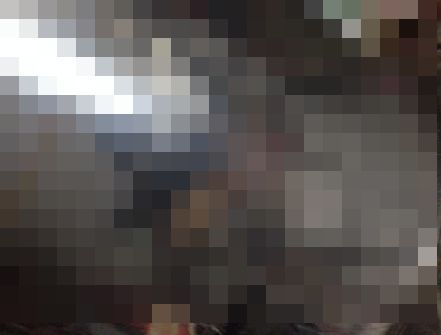 クモに関連した画像-01